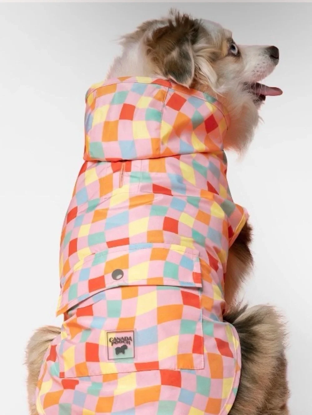Canada Pooch Pick Me Poncho Multi Colred Checker Hooded Dog Coat